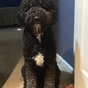 Meet your Posher, Jan